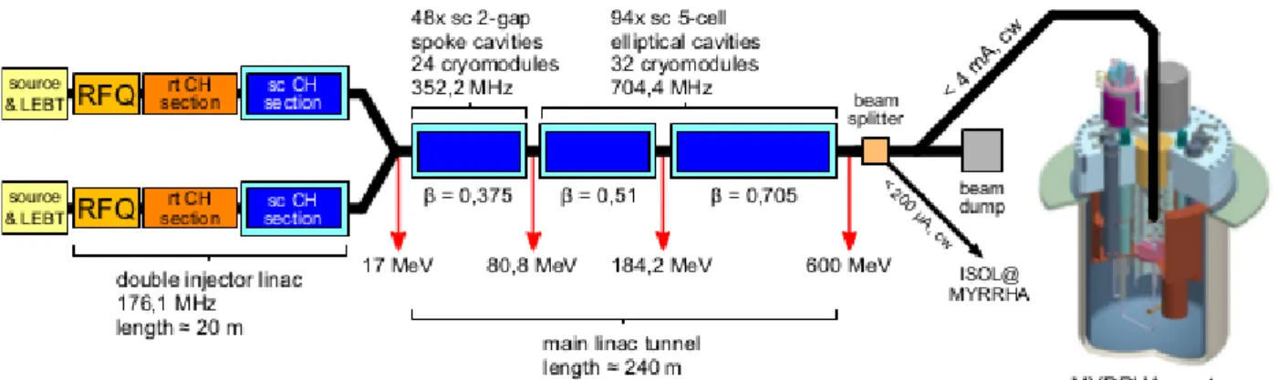 Abbildung 3.1: Der MYRRHA-ADS besteht aus zwei identischen Injektoren (parallele Redundanz, von 0 MeV bis 17 MeV), einem Hauptbeschleuniger, bestehend aus spoke- und elliptischen Kavit¨ aten (von 17 MeV bis 600 MeV) sowie einem innerhalb des Reaktors angeb