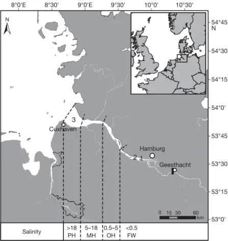 Fig. 1. Study area, showing the North Sea and the Elbe estuary in the German Bight. Freshwater (FW), oligohaline (OH), mesohaline (MH) and polyhaline (PH) sections of the estuary are shown (Stiller 2010)
