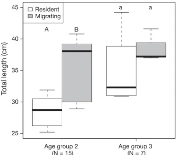Fig. 5. Comparison of the total length of resident and migrat- migrat-ing maraena whitefish of age group (AG) 2 and AG 3
