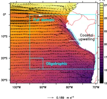 Figure 1. Annually averaged sea surface temperature ( ◦ C) and hor- hor-izontal advection vectors (m s −1 ) and location of the analysed  re-gions (see labels) and of a vertical section for analysing plankton spatial succession (white line at 12 ◦ S)