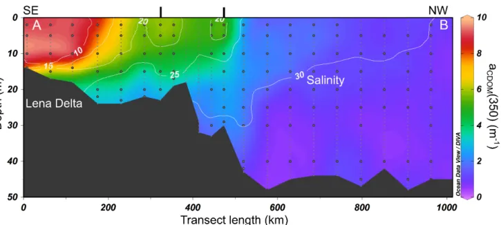 Figure 7. Salinity (white isoline) and a CDOM (350) (colour) on a ~ 1000 km long oceanographic transect from the Lena Delta (left) to  the outer shelf of the northwestern Laptev Sea (September 2010; NE10)