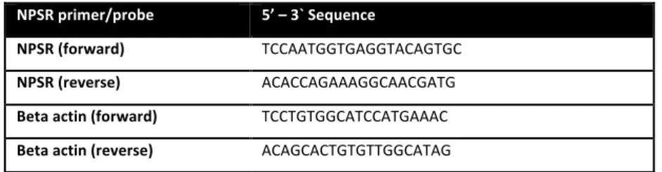 Table 2: List of NPSR primers used for mRNA expression studies in rats. 