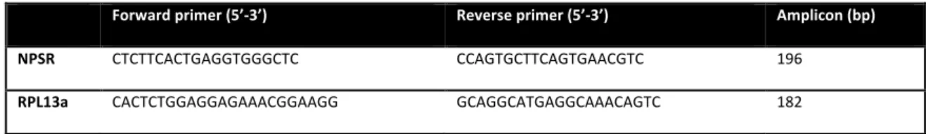 Table 3: List of primers used for mRNA expression studies in NPSR wild type and knockout mice