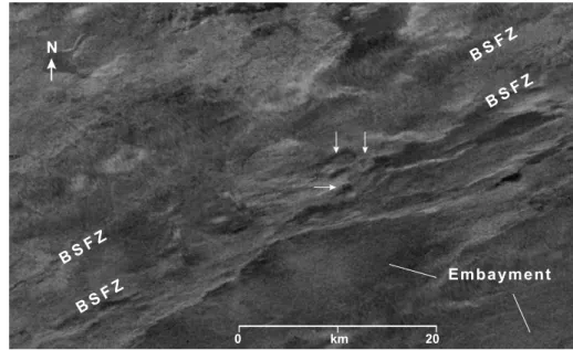 Figure 10. GLORIA backscatter data (U.S. Geological Survey, 2011) of mounds and vents (marked by white arrows)  in the backstop splay fault zone (BSFZ) of the Albatross region
