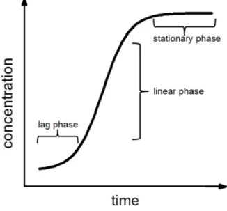 Fig. 3.5: Schematic drawing of the time-dependent concentration increase in the receiver compartment