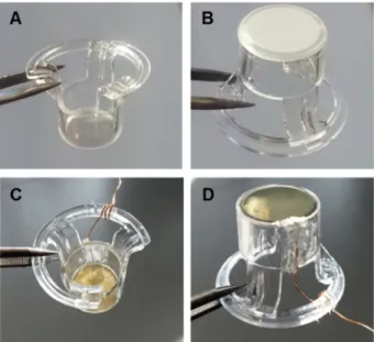 Fig.  4.10:  Photographic  images  of  Transwell ®   permeable  cell  culture  supports  with  a  membrane  area  of  1.12 cm 2  (A,B)