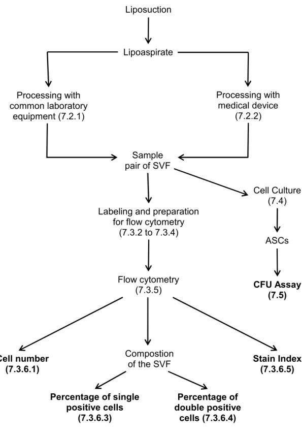 Figure 2 Flow diagram of the used methods and outcome parameters (marked bold). 