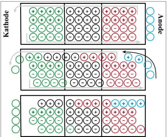 Abbildung 4.1. Schematische Darstellung der Hittorfschen Überführungszahl- Überführungszahl-bestimmung für einen Lithiumionenelektrolyten mit Elektroden aus metallischem Lithium; O: Li-Atom, ⊕ : Li-Ion, : Anion Ein Elektrolytgefäß wird gedanklich in drei 