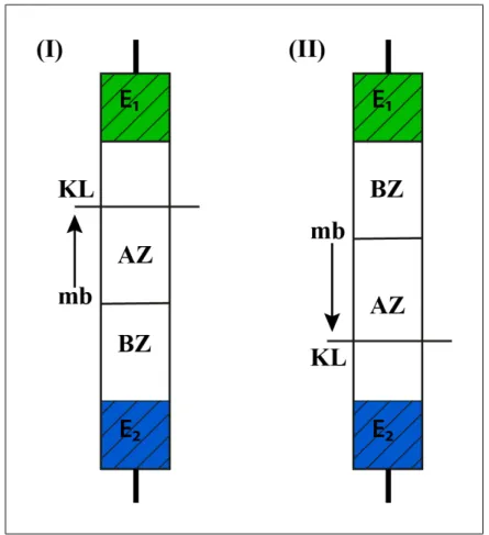 Abbildung 4.6. Schematische Darstellung der Überführungszahlbestimmung mit der Methode der wandernden Grenzfläche