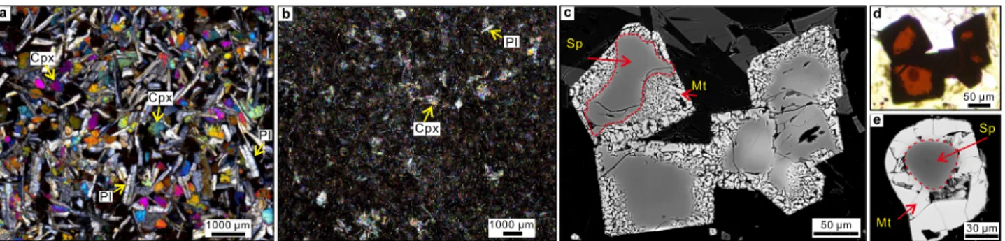 Fig. 2 General and detailed photomicrographs of Unit 1 ASB basalts. a Medium-grained basalt from subunit 1c (78R3 21 – 25), including clinopyroxene (Cpx) and plagioclase (Pl) crystals (crossed polars)