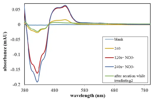 Figure 2-5. Spectra of the reduced catalyst  Acr • -Mes formed upon irradiation in the presence of LiNO 3  under inert atmosphere  after 120 s (red) and 240 s (blue)