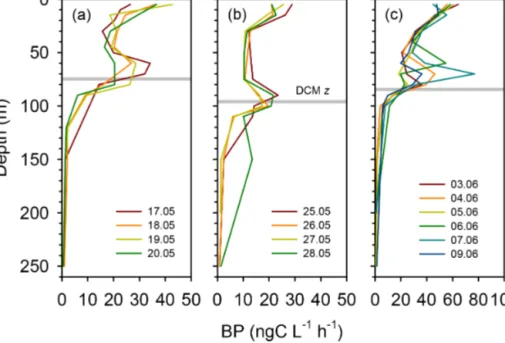 Figure 6. Vertical profiles of heterotrophic prokaryotic production (BP, dawn casts only) during each sampling day at the long-term stations (a) TYRR, (b) ION and (c) and FAST
