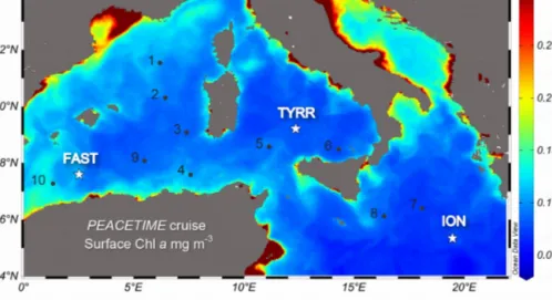 Figure 1. Location of the sampled stations superimposed on a map of ocean colour-based surface chlorophyll a concentration (mg m −3 ) averaged over the period of the PEACETIME cruise (12 May–8 June 2017)