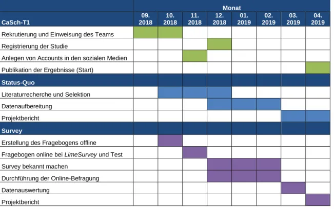 Tabelle 2: Arbeits- und Zeitplan des Projektes CaSCH-T1 