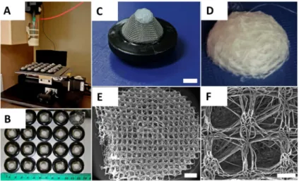 Figure  5. (A) Melt  Electrospinning  apparatus  spinning molten  PCL  onto  an  array  of  20  structured  metallic  substrates  with  raised  architecture.  X‐y‐stage  moves  substrates  into  path  of  melt  electrospinning  jet. Production  parameters:
