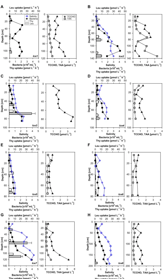 Fig 6. Ice-core proﬁles of salinity, bacterial cell numbers, bacterial activity, and organic matter concentrations