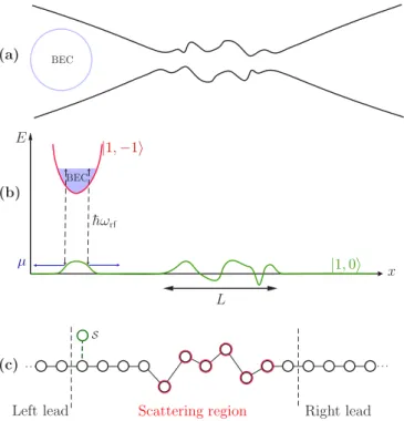 FIG. 1. (a) Typical atom laser configuration inspired from Ref. [48], consisting of a BEC within a magnetic trap of atoms and an optical waveguide generated by a spatially focused light field