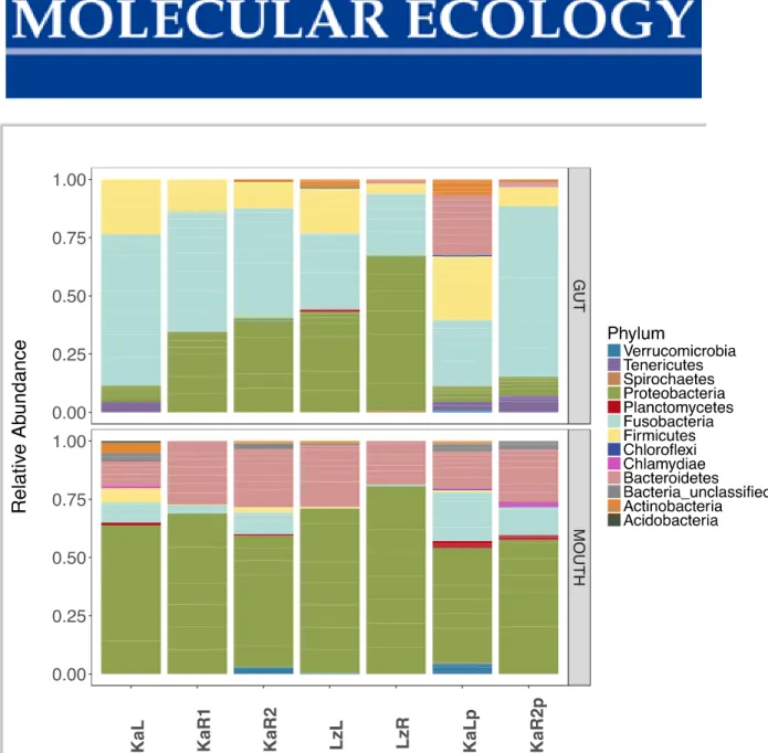 Figure S7 Relative abundance of different microbiota phyla per population given after filtering out low abundance sequences (≤ 0.02)