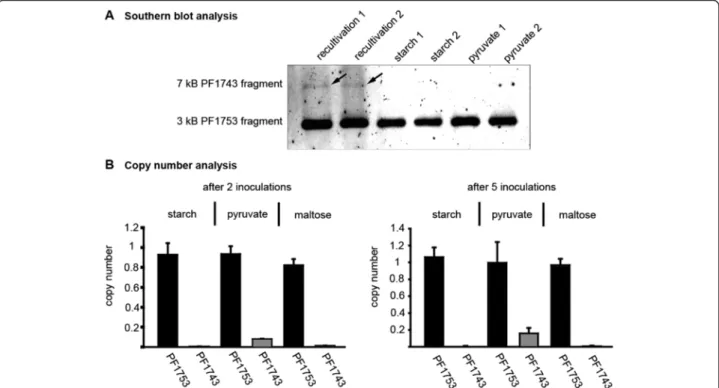 Fig. 7 Deletion of a 16 kb fragment encoding the TM system and TrmB. a southern blot analysis using BamHI and SmaI digested P