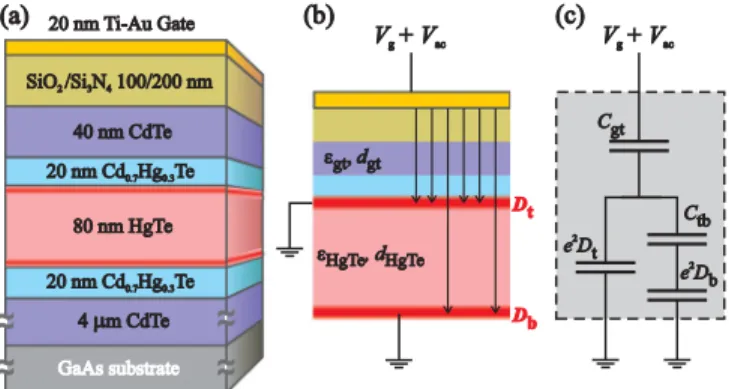 FIG. 1. (a) Cross section of the heterostructures studied. The Dirac surface states (red) enclose the strained HgTe layer.