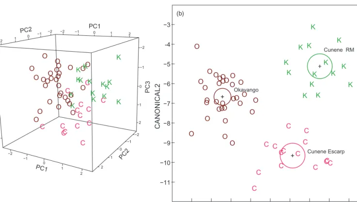 Figure 6: (a) Principal component analysis on morphology for three samples of bulldog fish