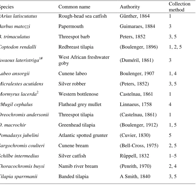 Table  S1:  Other  fish  species  collected  from  the  Cunene  River  mouth  (*  denotes  marine/backwater/brackish water)