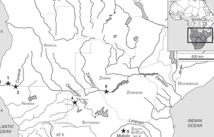 Figure 1: Map of part of southern-central Africa, showing localities of bulldog fish samples examined