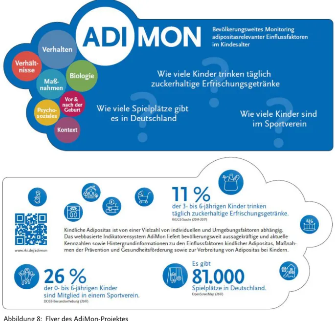Abbildung 8:  Flyer des AdiMon-Projektes