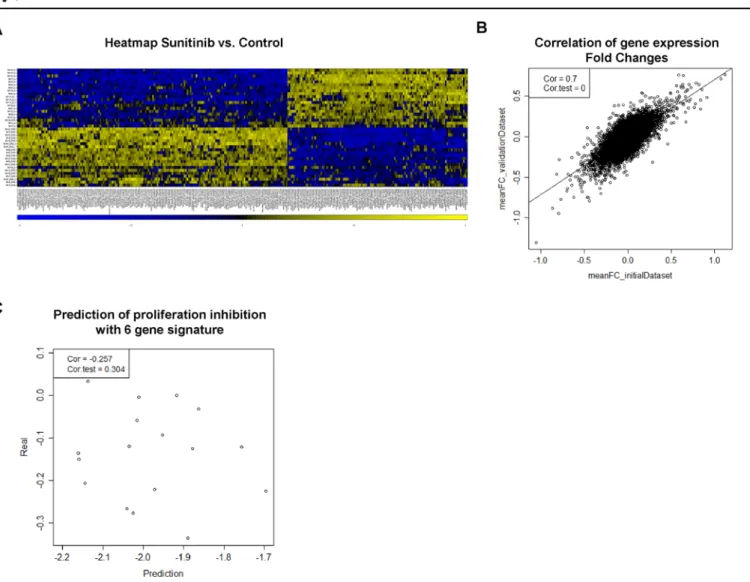 Fig 2. Gene expression pattern and prediction of proliferation. (A) Heat map of the 300 most differentially expressed genes when comparing Sunitinib treated with untreated samples