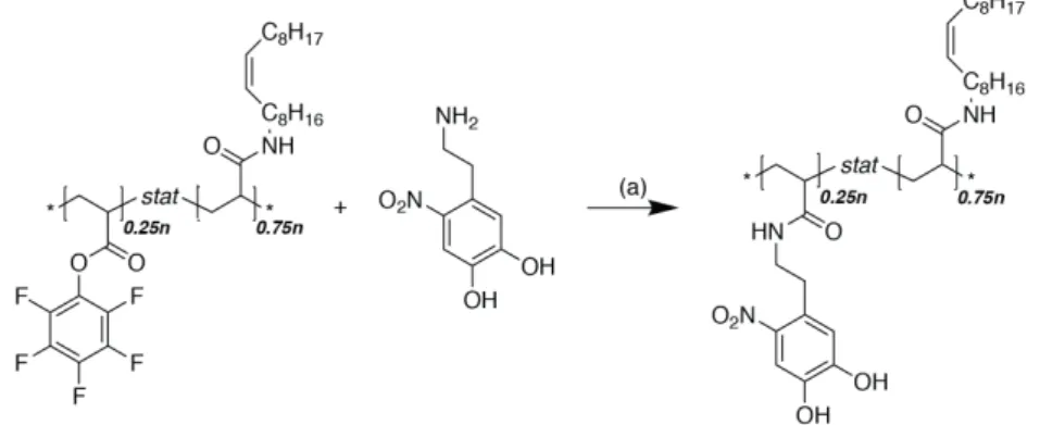 Figure 2.12 | Second step of the pPFPA modification with nitrodopamine. (a) THF/DMF, 50 °C