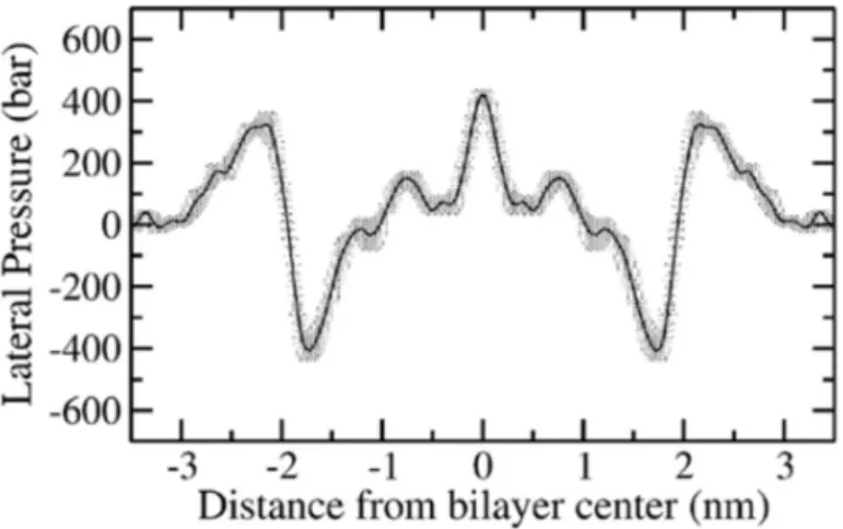 Figure 1.9: Lateral pressure profile for a pure POPC bilayer. Image taken from Ref. [64]