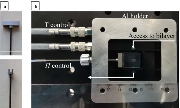 Figure 2.2: (a): The bikewheel film holders are glued to titanium holders. (b): The bikewheel  film  holder  is  placed  in  an  aluminium  pressure  chamber  with  different  compartments  to  ensure access to the bilayer