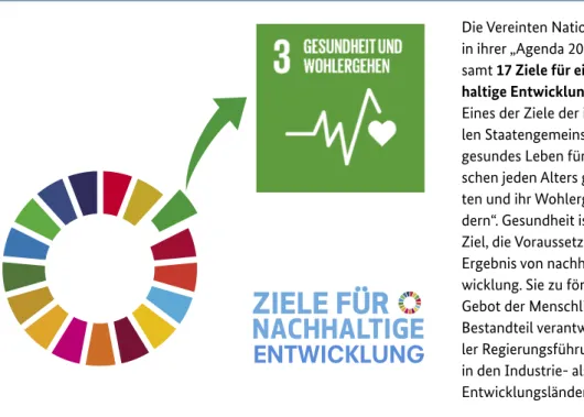 Abb. 8: Globale Ziele für nachhaltige Entwicklung: Ziel 3 Gute Gesundheit und Wohlergehen