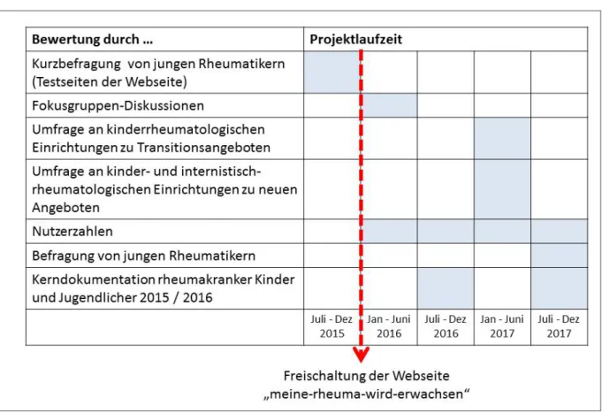 Abbildung 1: Zeitplan für die Bewertung der neuen Angebote (im Fokus Internetplattform 