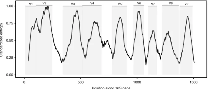 Figure 1.1: Variable and conserved regions of the 16S rRNA gene. Conserved regions are targets  for  universal  PCR  primers,  while  the  variable  amplified  regions  are  used  to  evaluate  the  population diversity