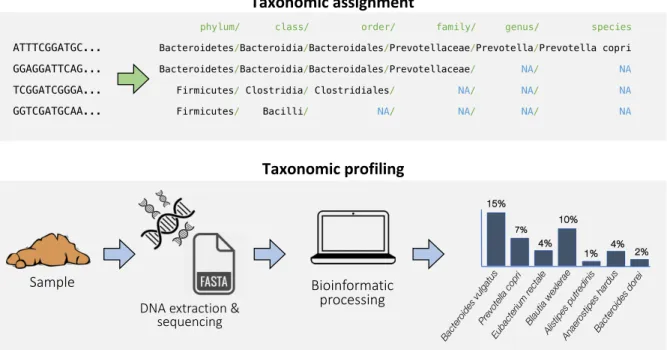 Figure 1.3: Examples of taxonomic assignment and taxonomic profiling. 