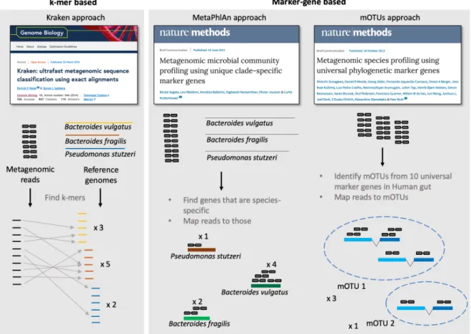 Figure 1.4: Exemplary tools for taxonomic profiling of metagenomic samples. K-mer based  methods annotate each read and derive a taxonomic profile from the taxonomic assignments of  these sequences