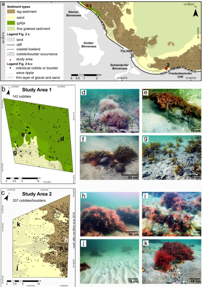 Figure 2. (a) Sediment distribution map of the inner Hohwacht Bay. (b) Sediment distribution and the location of all meas- meas-ured cobbles in study area (SA)1