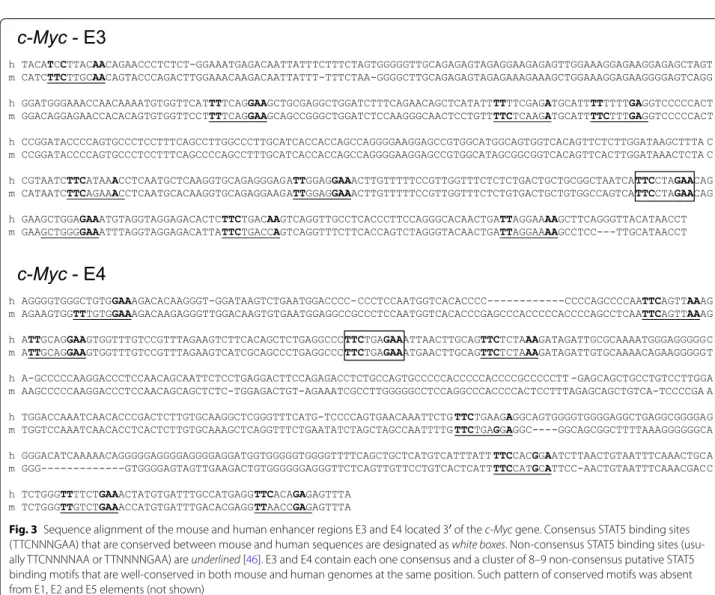 Fig. 3  Sequence alignment of the mouse and human enhancer regions E3 and E4 located 3′ of the c-Myc gene