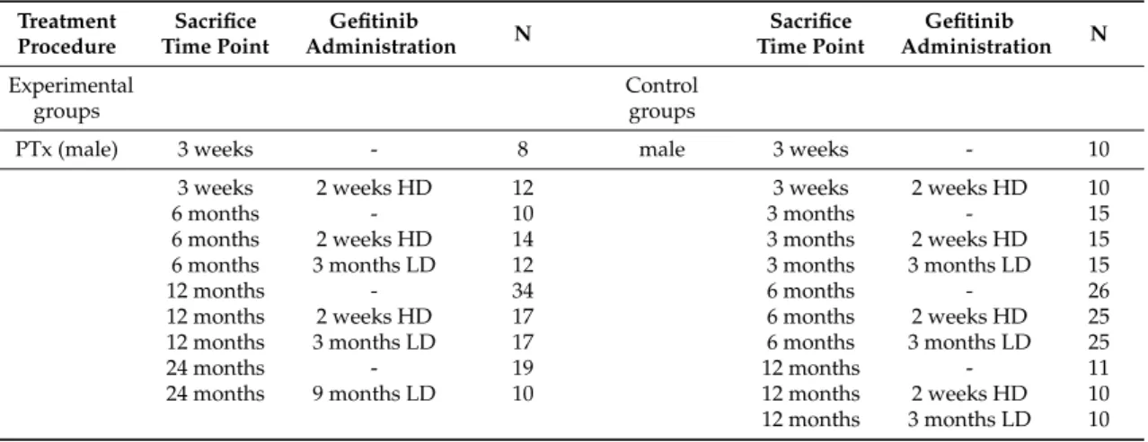 Table 4. Experimental design of investigated models of hepatocarcinogenesis.