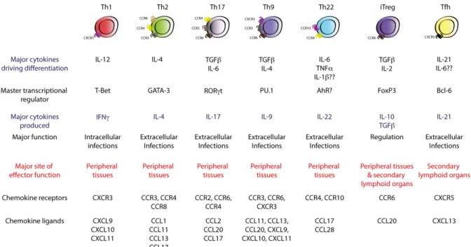 Figure 4 Currently known Th cell subsets (Adapted from Kara et al, 2014) 63