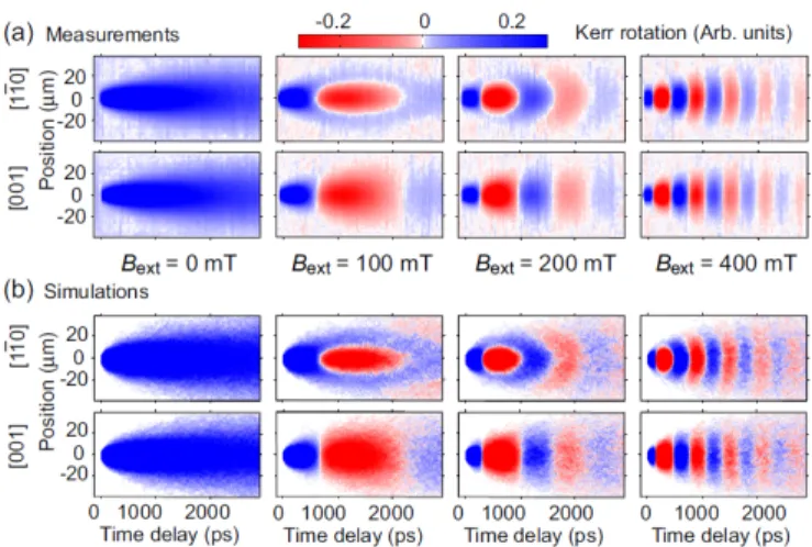 FIG. 8 (Color online) Upper panels (a): Time- and spatially resolved Kerr rotation data by Chen et al