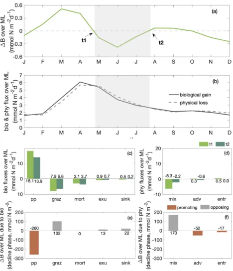 Figure 4. Seasonal cycles of (a) total phytoplankton biomass change ∆B in the mixed layer (in mmol N m − 2 d − 1 ); gray shading indicates the decline phase as in Fig