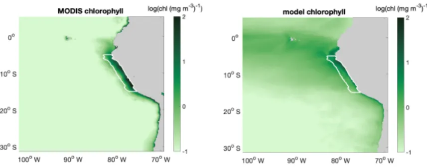 Figure B1. Annual mean surface chlorophyll concentration (in log(chl (mg m −3 ) −1 )) distribution of (a) MODIS and (b) CROCO-BioEBUS.