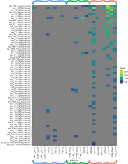 Figure 4. Heat map of fungal relative ASV abundances in all sequences samples. Color brackets indicate the different basins as in Figs