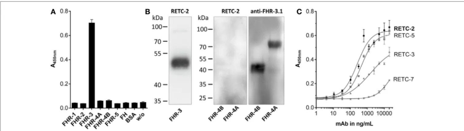FigUre 2 | Mab reTc-2 detected native Fhr-3 in complex with other complement proteins from human serum