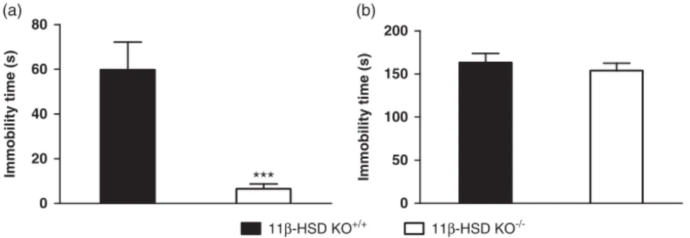 Fig. 1. Antidepressant-like behaviour of 11β-HSD1 −/ − mice. (a) 11β-HSD1 −/ − mice (n = 12) display reduced immobility time in the forced swim test (FST) compared with WT (n = 12) indicative of an antidepressant-like effect