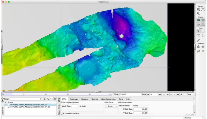 Fig. 5.3    The user interface of Fledermaus shows the bathymetric record of the Port Sudan Deep after post  processing i.e