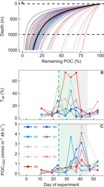 Figure 8. Transfer ef ﬁ ciency (T eff ) and mass ﬂ ux to the deep ocean based on SV in‐situ and C remin using model equations (4) and (5)