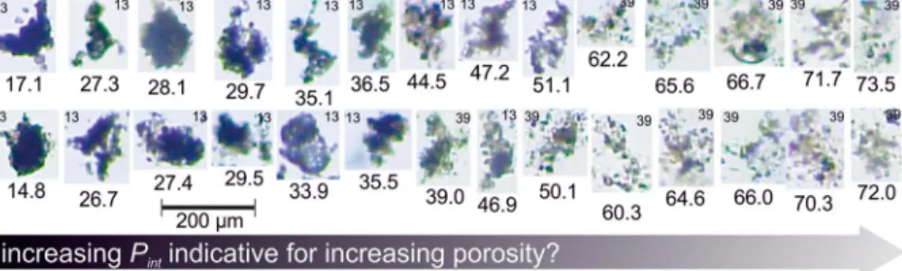 Figure 1. P int , our proxy for aggregate porosity, can be considered as a size ‐ normalized measure of particle intensity (equation (3)) where intensity re ﬂ ects particle transparency